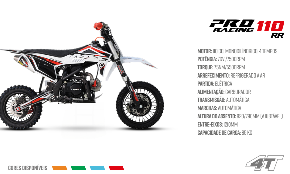 Pro Racing 110 RR